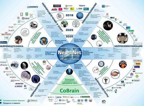 神經網絡 下一代網絡技術的演進與展望
